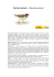 Corriere piccolo (Charadrius dubius)