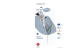 Sfoglia on-line