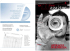 Anno 2010, numero 3 - API Associazione Piccole e Medie Industrie