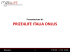 presentazione p4l