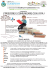 Manifesto 2015_09_12-Comune Ciampino