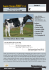 Dairy Show 2005