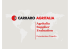 La presentazione del progetto
