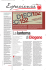 visualizza pdf