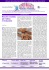 Budrio Magazine – Senza Confini n°1