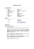 curriculum vitae