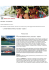 focus su - Tahiti Nui Travel