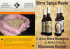 Birra Spiga Reale