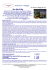 New York City - Flumen Viaggi