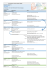 Formazione: Excel 2013 "BASE"
