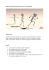 Master in Character Animation per Film / TV e videogames Il master