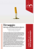 versione pdf