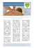OSTEOPATIA E ALIMENTAzIONE - Studio Setaccioli Bonifacio