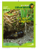 disponibile in pdf - Pro Natura Ticino