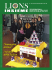 rivista 33