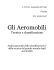 Gli Aeromobili - Costruzioni Aeronautiche