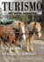 ews - Turismo Itinerante