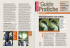 impregnazione con resine - Dipartimento Architettura e Design