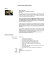 Curriculum Vitae Alberto Di Minin
