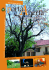 Novembre 2010 - Comune di Piossasco