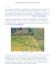 versione in PDF - click qui