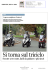 Scooter a tre ruote , facili da guidare e più sicuri