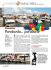 Scarica pdf