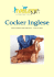 Airedale Terrier