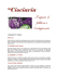 I sapori, il folklore e l`artigianato