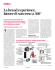 La brand experience, fattore di successo a 360°