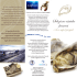 brochure ostriche - Centro Surgelati