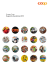 Gruppo Coop Rapporto di gestione 2015