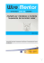 @linee guida mentoring 151230