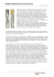 STORIA CARATTERE Times New Roman