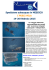 programma messico pesci vela 2015 - Copia