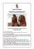 brochure - Alderan Viaggi