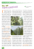 Settembre - Vivaio del Lago Varese