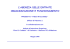 crmgnz49s01g273q_20080604110954