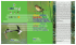 dove,come, quandofare birdwatching nel Delta del Po where,how