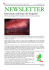 Newsletter Gennaio - AssoDonneShanghai