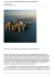 New York/ Fra 10 anni Manhattan rischia di essere