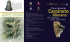 Scarica l`itinerario di Carpineto Romano null