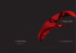 RACING SPEED tubular RED WIND XLR clincher