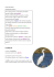 scheda web aironi