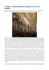 continua - Cappella Ludovicea Roma