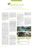 Stampa o scarica PDF