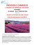 provenza e camargue