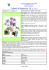 scheda n. 3 hepatica nobilis