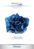 Catalogo DreamAIR