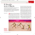 East_49_Il_Brasile_non_si_illude